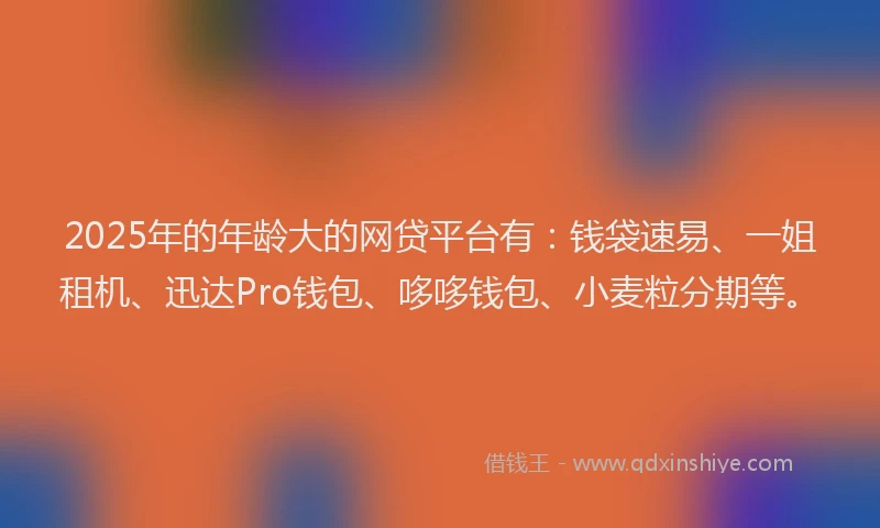 2025年的年龄大的网贷平台有：钱袋速易、一姐租机、迅达Pro钱包、哆哆钱包、小麦粒分期等。