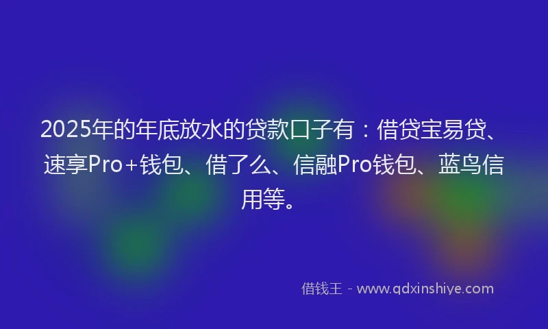 2025年的年底放水的贷款口子有：借贷宝易贷、速享Pro+钱包、借了么、信融Pro钱包、蓝鸟信用等。
