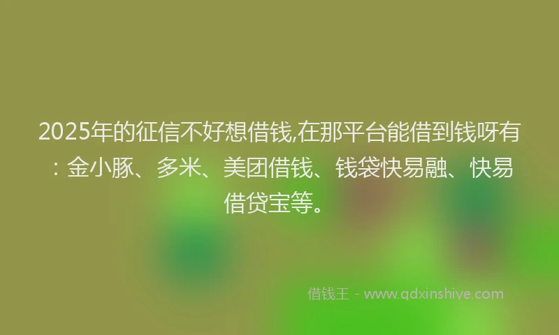 2025年的征信不好想借钱,在那平台能借到钱呀有：金小豚、多米、美团借钱、钱袋快易融、快易借贷宝等。