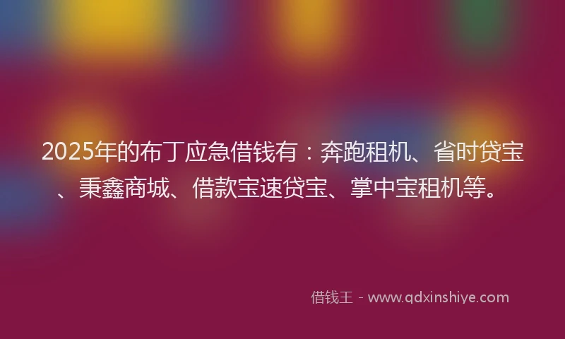 2025年的布丁应急借钱有：奔跑租机、省时贷宝、秉鑫商城、借款宝速贷宝、掌中宝租机等。