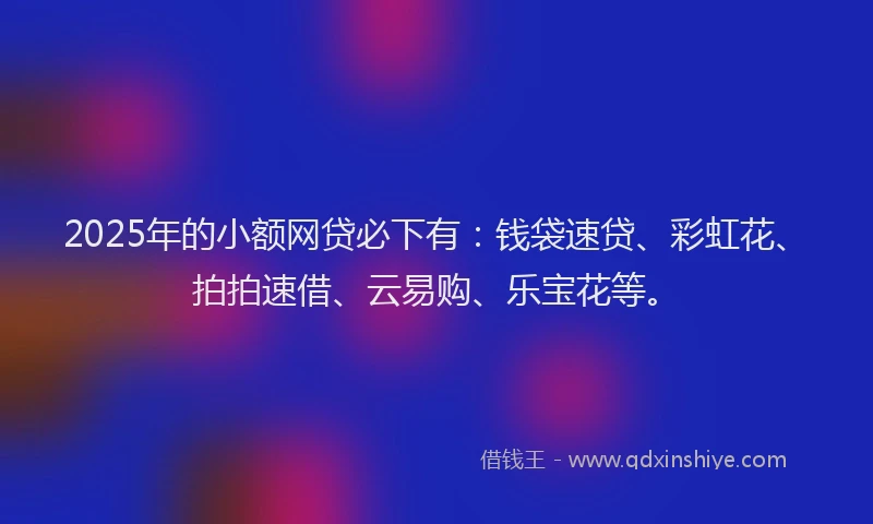 2025年的小额网贷必下有：钱袋速贷、彩虹花、拍拍速借、云易购、乐宝花等。