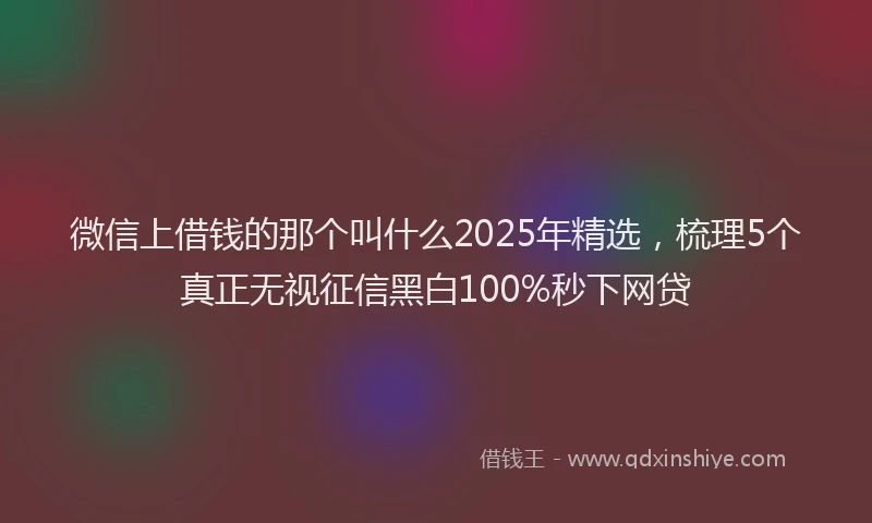 微信上借钱的那个叫什么2025年精选，梳理5个真正无视征信黑白100%秒下网贷