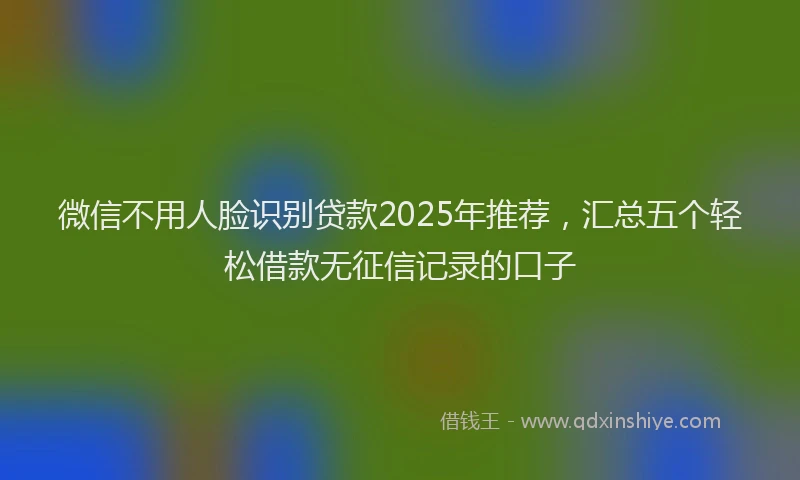 微信不用人脸识别贷款2025年推荐，汇总五个轻松借款无征信记录的口子