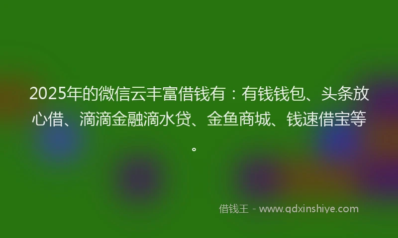 2025年的微信云丰富借钱有：有钱钱包、头条放心借、滴滴金融滴水贷、金鱼商城、钱速借宝等。