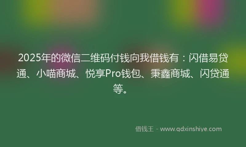 2025年的微信二维码付钱向我借钱有：闪借易贷通、小喵商城、悦享Pro钱包、秉鑫商城、闪贷通等。
