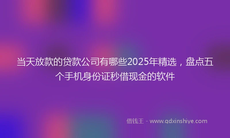 当天放款的贷款公司有哪些2025年精选，盘点五个手机身份证秒借现金的软件