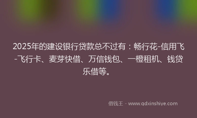 2025年的建设银行贷款总不过有：畅行花-信用飞-飞行卡、麦芽快借、万信钱包、一橙租机、钱贷乐借等。