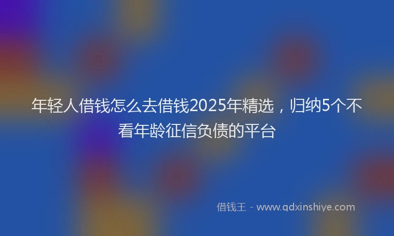 年轻人借钱怎么去借钱2025年精选，归纳5个不看年龄征信负债的平台