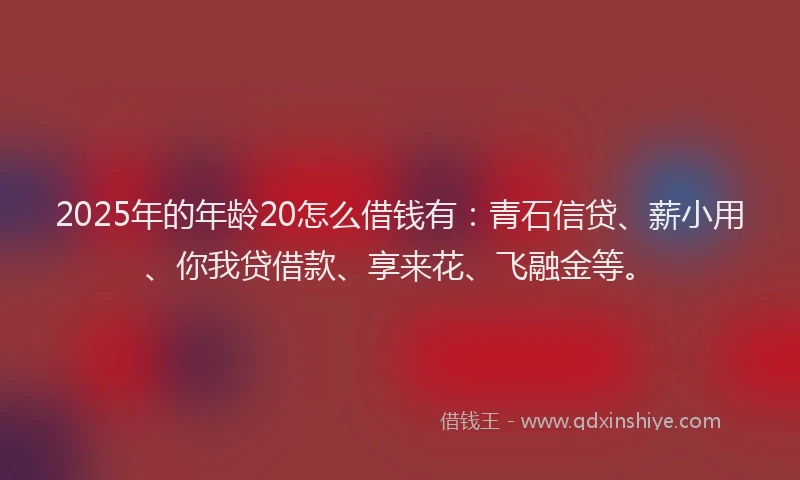 2025年的年龄20怎么借钱有：青石信贷、薪小用、你我贷借款、享来花、飞融金等。