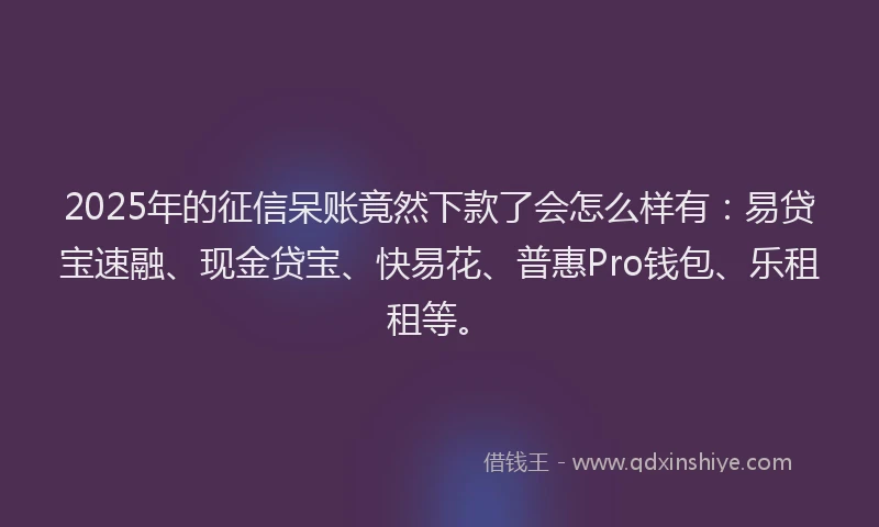 2025年的征信呆账竟然下款了会怎么样有：易贷宝速融、现金贷宝、快易花、普惠Pro钱包、乐租租等。