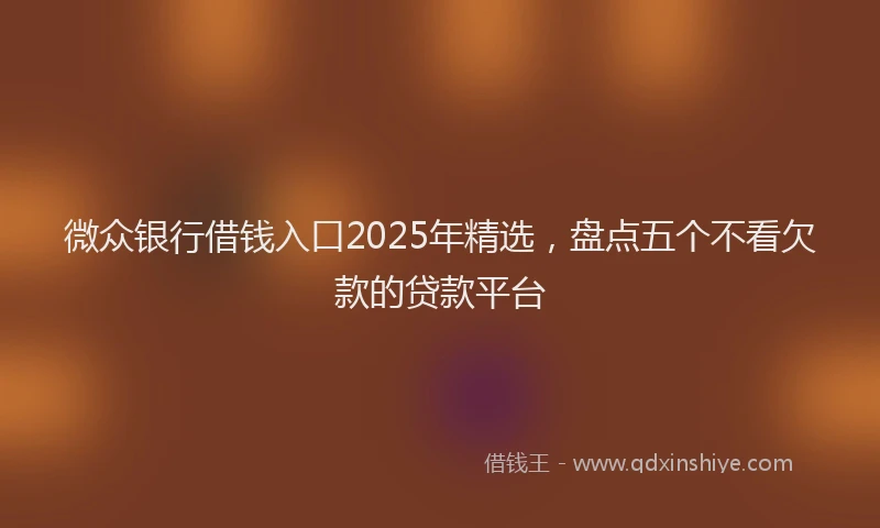 微众银行借钱入口2025年精选，盘点五个不看欠款的贷款平台