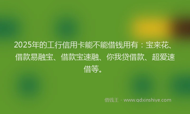 2025年的工行信用卡能不能借钱用有：宝来花、借款易融宝、借款宝速融、你我贷借款、超爱速借等。