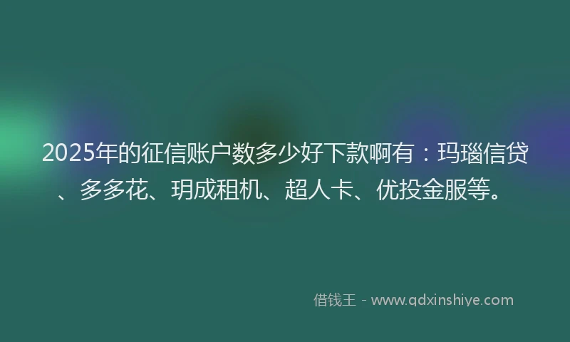 2025年的征信账户数多少好下款啊有：玛瑙信贷、多多花、玥成租机、超人卡、优投金服等。