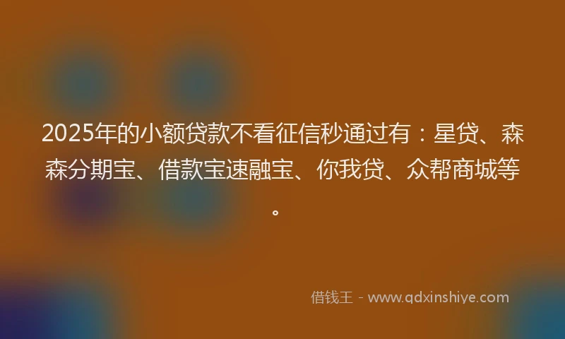 2025年的小额贷款不看征信秒通过有：星贷、森森分期宝、借款宝速融宝、你我贷、众帮商城等。