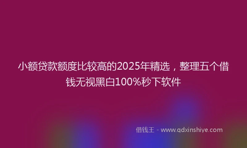 小额贷款额度比较高的2025年精选，整理五个借钱无视黑白100%秒下软件