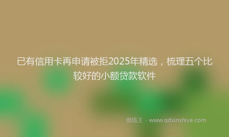 已有信用卡再申请被拒2025年精选，梳理五个比较好的小额贷款软件
