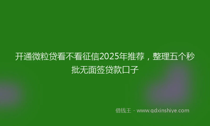 开通微粒贷看不看征信2025年推荐，整理五个秒批无面签贷款口子