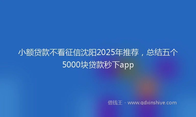 小额贷款不看征信沈阳2025年推荐，总结五个5000块贷款秒下app