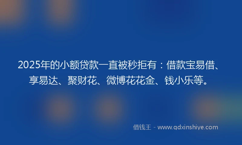 2025年的小额贷款一直被秒拒有：借款宝易借、享易达、聚财花、微博花花金、钱小乐等。