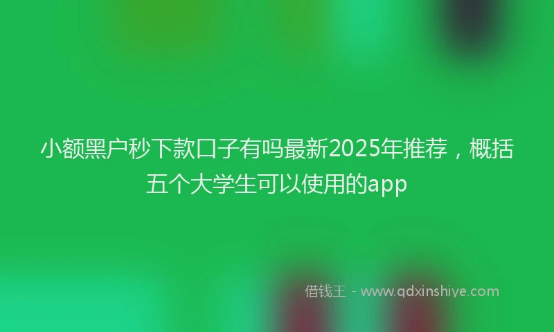 小额黑户秒下款口子有吗最新2025年推荐，概括五个大学生可以使用的app