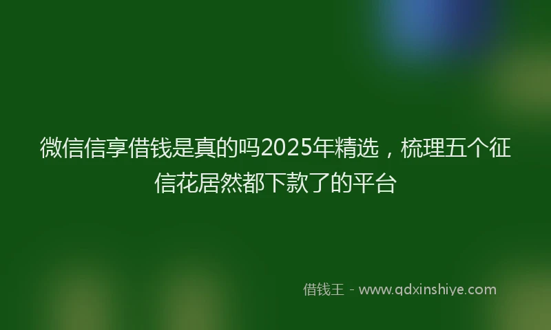 微信信享借钱是真的吗2025年精选，梳理五个征信花居然都下款了的平台