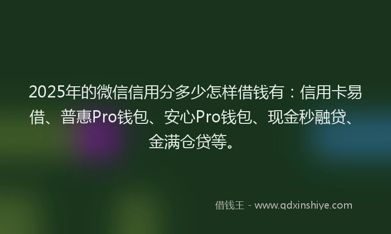2025年的微信信用分多少怎样借钱有：信用卡易借、普惠Pro钱包、安心Pro钱包、现金秒融贷、金满仓贷等。