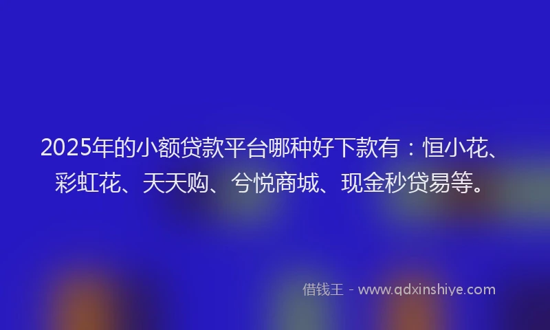 2025年的小额贷款平台哪种好下款有：恒小花、彩虹花、天天购、兮悦商城、现金秒贷易等。