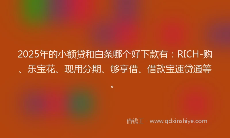 2025年的小额贷和白条哪个好下款有：RICH-购、乐宝花、现用分期、够享借、借款宝速贷通等。