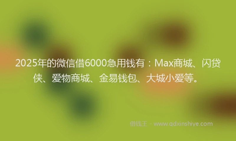 2025年的微信借6000急用钱有：Max商城、闪贷侠、爱物商城、金易钱包、大城小爱等。