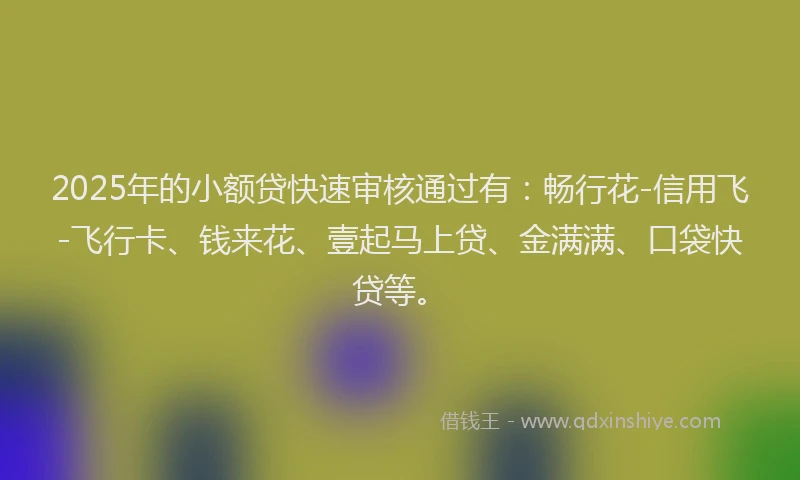 2025年的小额贷快速审核通过有：畅行花-信用飞-飞行卡、钱来花、壹起马上贷、金满满、口袋快贷等。
