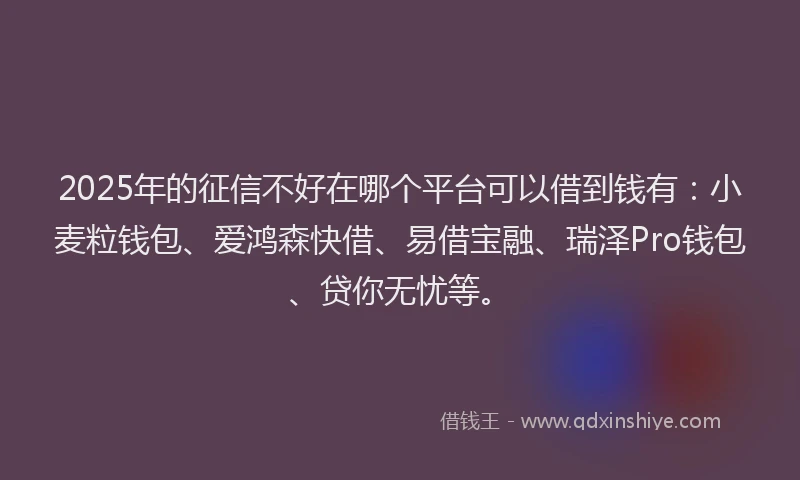 2025年的征信不好在哪个平台可以借到钱有：小麦粒钱包、爱鸿森快借、易借宝融、瑞泽Pro钱包、贷你无忧等。