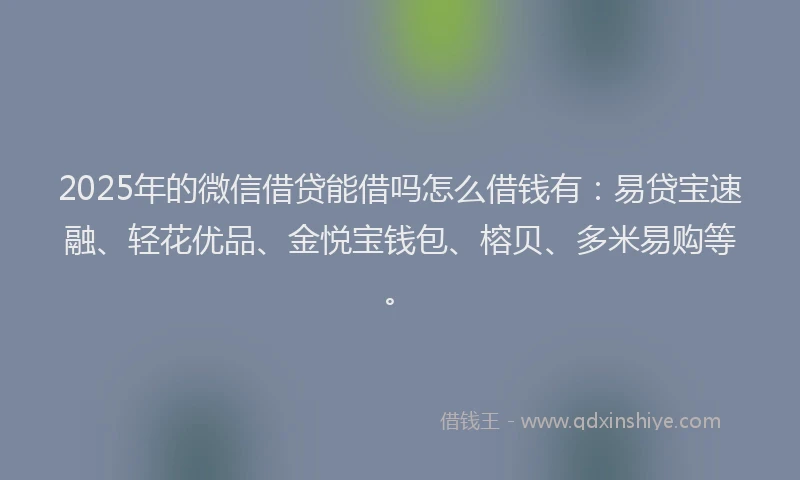2025年的微信借贷能借吗怎么借钱有：易贷宝速融、轻花优品、金悦宝钱包、榕贝、多米易购等。