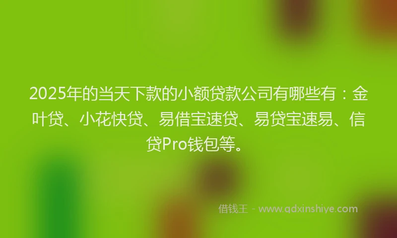 2025年的当天下款的小额贷款公司有哪些有：金叶贷、小花快贷、易借宝速贷、易贷宝速易、信贷Pro钱包等。