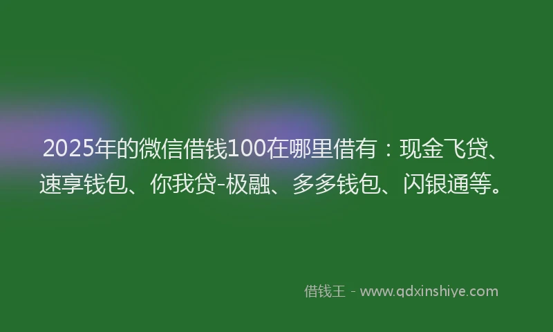 2025年的微信借钱100在哪里借有：现金飞贷、速享钱包、你我贷-极融、多多钱包、闪银通等。