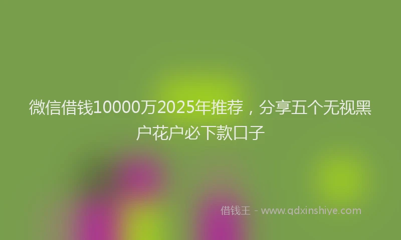 微信借钱10000万2025年推荐，分享五个无视黑户花户必下款口子
