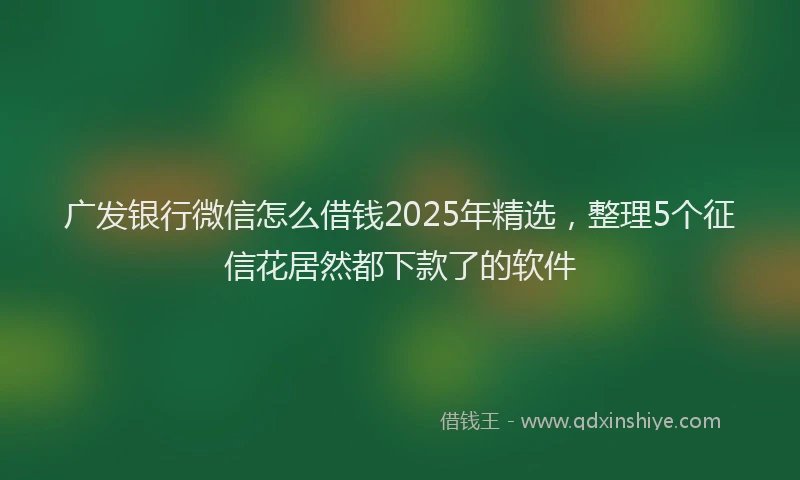 广发银行微信怎么借钱2025年精选，整理5个征信花居然都下款了的软件