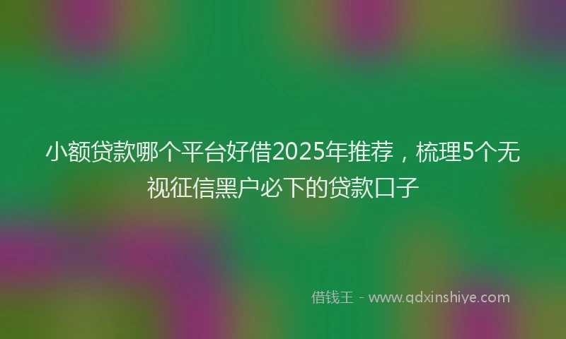 小额贷款哪个平台好借2025年推荐，梳理5个无视征信黑户必下的贷款口子