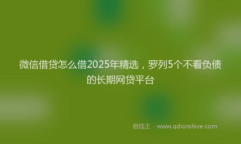 微信借贷怎么借2025年精选，罗列5个不看负债的长期网贷平台