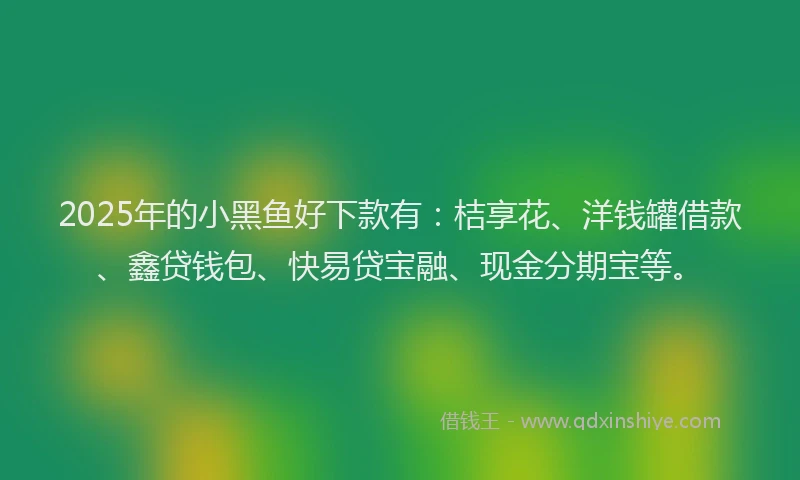 2025年的小黑鱼好下款有：桔享花、洋钱罐借款、鑫贷钱包、快易贷宝融、现金分期宝等。