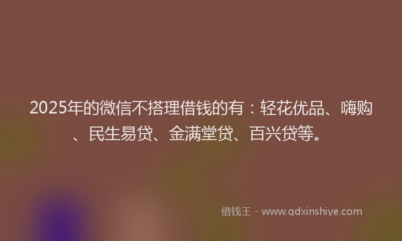 2025年的微信不搭理借钱的有：轻花优品、嗨购、民生易贷、金满堂贷、百兴贷等。