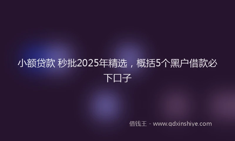小额贷款 秒批2025年精选，概括5个黑户借款必下口子