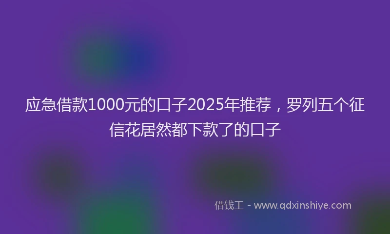 应急借款1000元的口子2025年推荐，罗列五个征信花居然都下款了的口子