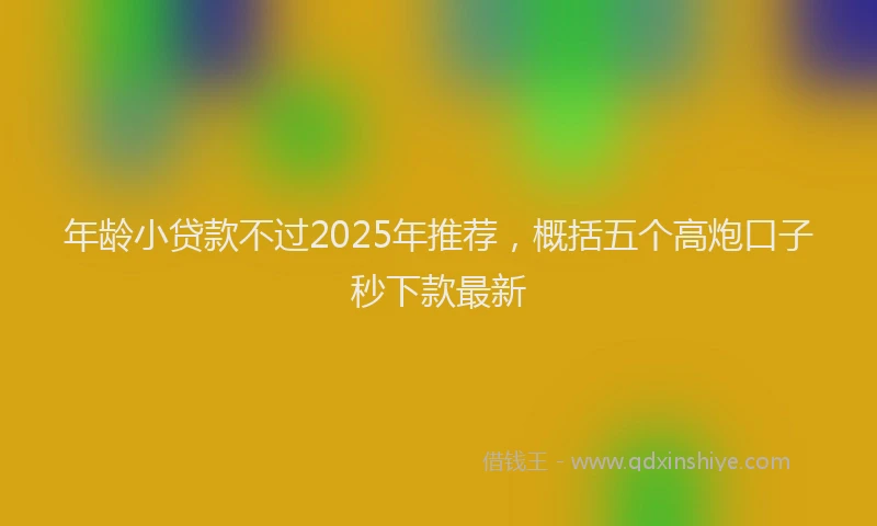 年龄小贷款不过2025年推荐，概括五个高炮口子秒下款最新