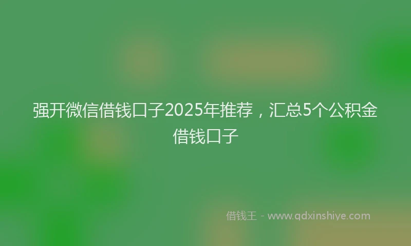 强开微信借钱口子2025年推荐，汇总5个公积金借钱口子