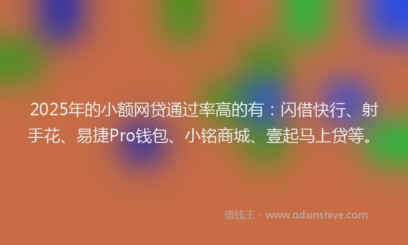 2025年的小额网贷通过率高的有：闪借快行、射手花、易捷Pro钱包、小铭商城、壹起马上贷等。