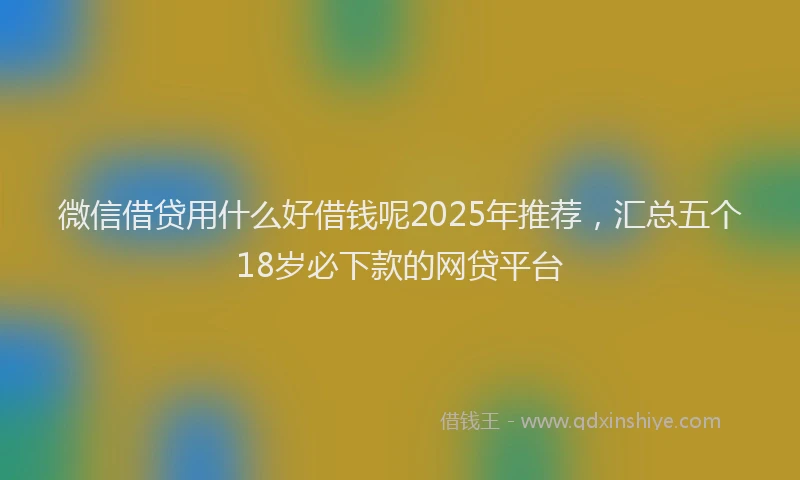 微信借贷用什么好借钱呢2025年推荐，汇总五个18岁必下款的网贷平台