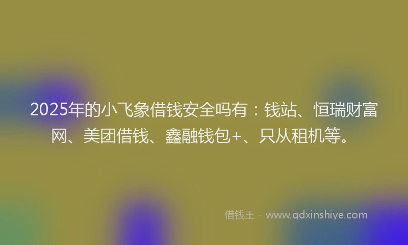 2025年的小飞象借钱安全吗有：钱站、恒瑞财富网、美团借钱、鑫融钱包+、只从租机等。