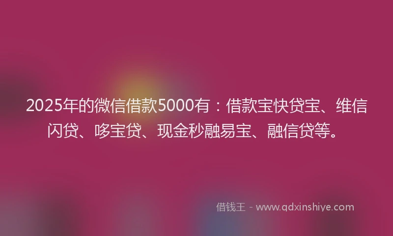 2025年的微信借款5000有：借款宝快贷宝、维信闪贷、哆宝贷、现金秒融易宝、融信贷等。