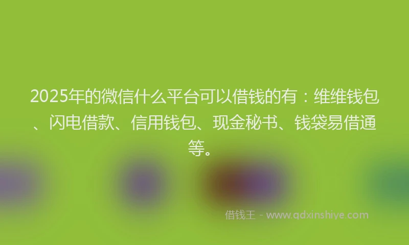 2025年的微信什么平台可以借钱的有：维维钱包、闪电借款、信用钱包、现金秘书、钱袋易借通等。