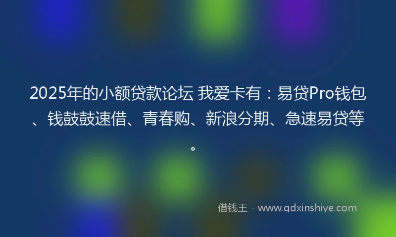 2025年的小额贷款论坛 我爱卡有：易贷Pro钱包、钱鼓鼓速借、青春购、新浪分期、急速易贷等。